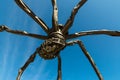 The Maman Statue in Ottawa