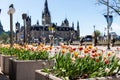 Wellington street in downtown near Parliament Hill buildings in spring in Ottawa, Canada