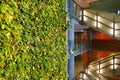 A living green plant wall in Ottawa, Canada
