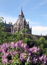 Ottawa Lilacs on the background of Library of Parliament 2008 Royalty Free Stock Photo