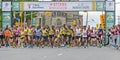 Ottawa Marathon 2013