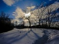 Ottawa river pathway covered in snow with bare tree silhouettes against birght sunlight