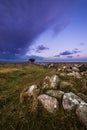 Ottenby Lighthouse Sunrise