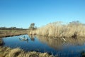 Otter Bridge, Rietvlei Nature Reserve, South Africa. Royalty Free Stock Photo