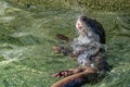 Otter catching a fish in the river Royalty Free Stock Photo