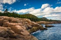 Otter Cliffs and the Atlantic Ocean in Acadia National Park, Mai Royalty Free Stock Photo