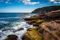 Otter Cliffs and the Atlantic Ocean in Acadia National Park, Mai Royalty Free Stock Photo