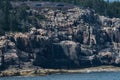 Otter Cliffs viewed from Water