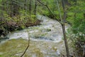 Otter Creek in the Blue Ridge Mountains