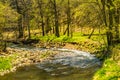 Otter Creek Gingerly Flowing in the Early Spring Royalty Free Stock Photo