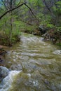 Otter Creek a Popular Trout Stream