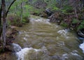 Otter Creek a Popular Trout Stream