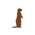 Otter side view icon isolated on white background