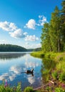 Otter Swimming in Calm Lake Under Sunny Sky Royalty Free Stock Photo
