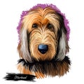 Otterhound pet having long fur isolated watercolor portrait digital art. Canis lupus familiaris pet, domesticated animal