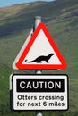 Otters Crossing Royalty Free Stock Photo