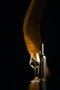 Ãâottle and glass of white wine on a black reflective background Royalty Free Stock Photo