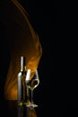 Ãâottle and glass of white wine on a black reflective background Royalty Free Stock Photo