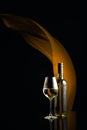Ãâottle and glass of white wine on a black reflective background Royalty Free Stock Photo