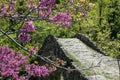 Ottoman bridge in the nature Royalty Free Stock Photo