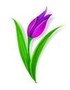 Ottoman Tulip Motif Illustration Royalty Free Stock Photo