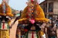Masquerade in Nigeria