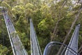 Otway Fly Treetop Adventures treetop walk Melbourne Australia Great Ocean Road