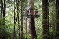 Otway Fly Treetop Adventures Zipline Melbourne Australia Great Ocean Road