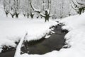 Otzarreta beech forest in winter, Gorbea Natural Park, Spain Royalty Free Stock Photo
