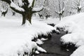 Otzarreta beech forest in winter, Gorbea Natural Park, Spain Royalty Free Stock Photo