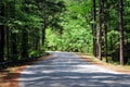 Ouachita National Forest Mountain Pine Road Royalty Free Stock Photo