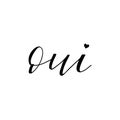Oui lettering. Yes in french language. Hand drawn lettering background. Ink illustration.