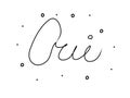 Oui phrase handwritten with a calligraphy brush. Yes in French. Modern brush calligraphy. Isolated word black