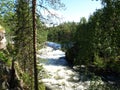 Oulanka National Park Royalty Free Stock Photo