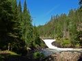 Oulanka National Park Royalty Free Stock Photo