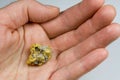 Nevada USA Gold / Quartz Nugget in Hand