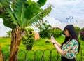 Young Asian tourist woman taking a picture of a banana tree with her smartphone. She has glasses and a floral shirt. Puerto de La Royalty Free Stock Photo