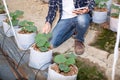 Oung farmers are analyzing the growth of melon effects on greenhouse farms.