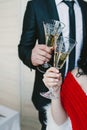 Oung newlyweds clinking elegant glasses Royalty Free Stock Photo