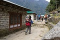 Ountaineers and porters trek to Sagarmatha National Park