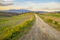 Ountry road leading to an agriturismo in Tuscany