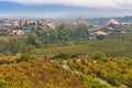 Ountryside town of elciego and autumn vineyards in la rioja, Spain