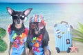 ÃÂ¡ouple of dogs on a tropical island, ready for rest, sea, sun, suitcase. Holiday concept, trips to the sea Royalty Free Stock Photo
