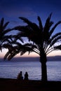 ÃÂ¡ouple on shore of Red Sea. Palm, sunset. Aqaba, Jordan