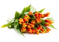 Ãâouquet of orange tulips Royalty Free Stock Photo