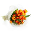 Ãâouquet of orange tulips Royalty Free Stock Photo