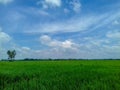 Our Country Bangladesh Is A Country Of Green, So Green Is Everywhere.the Sky So Nice
