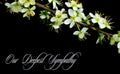 Our deepest condolences.white flowers on black background with text Royalty Free Stock Photo