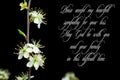 Our deepest condolences.white flowers on black background with text