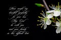 Our deepest condolences.white flowers on black background with text Royalty Free Stock Photo